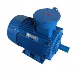 Explosion-Proof Electric Motor