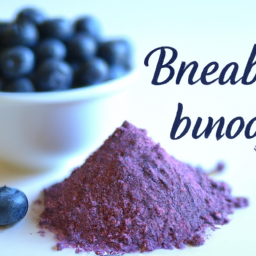 benefits of blueberry powder