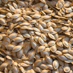 chinese pumpkin seeds for sale