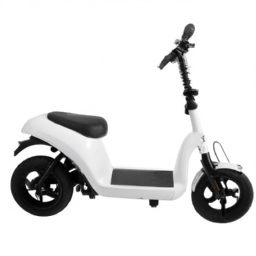 motor electric scooter