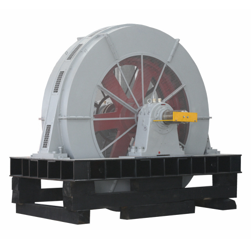 Large synchronous electric motor