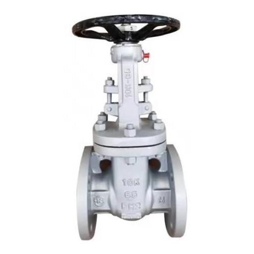 JIS Standard Gate Valve 20k/10k