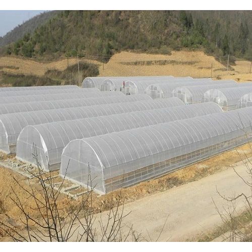 Tunnel greenhouse